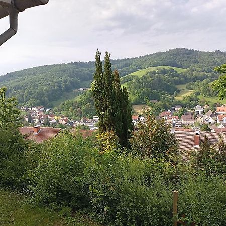 Das Tor Zum Odenwald Gorxheimertal Bagian luar foto