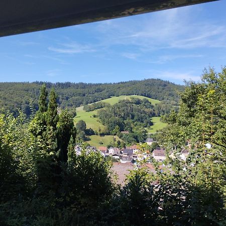 Das Tor Zum Odenwald Gorxheimertal Bagian luar foto