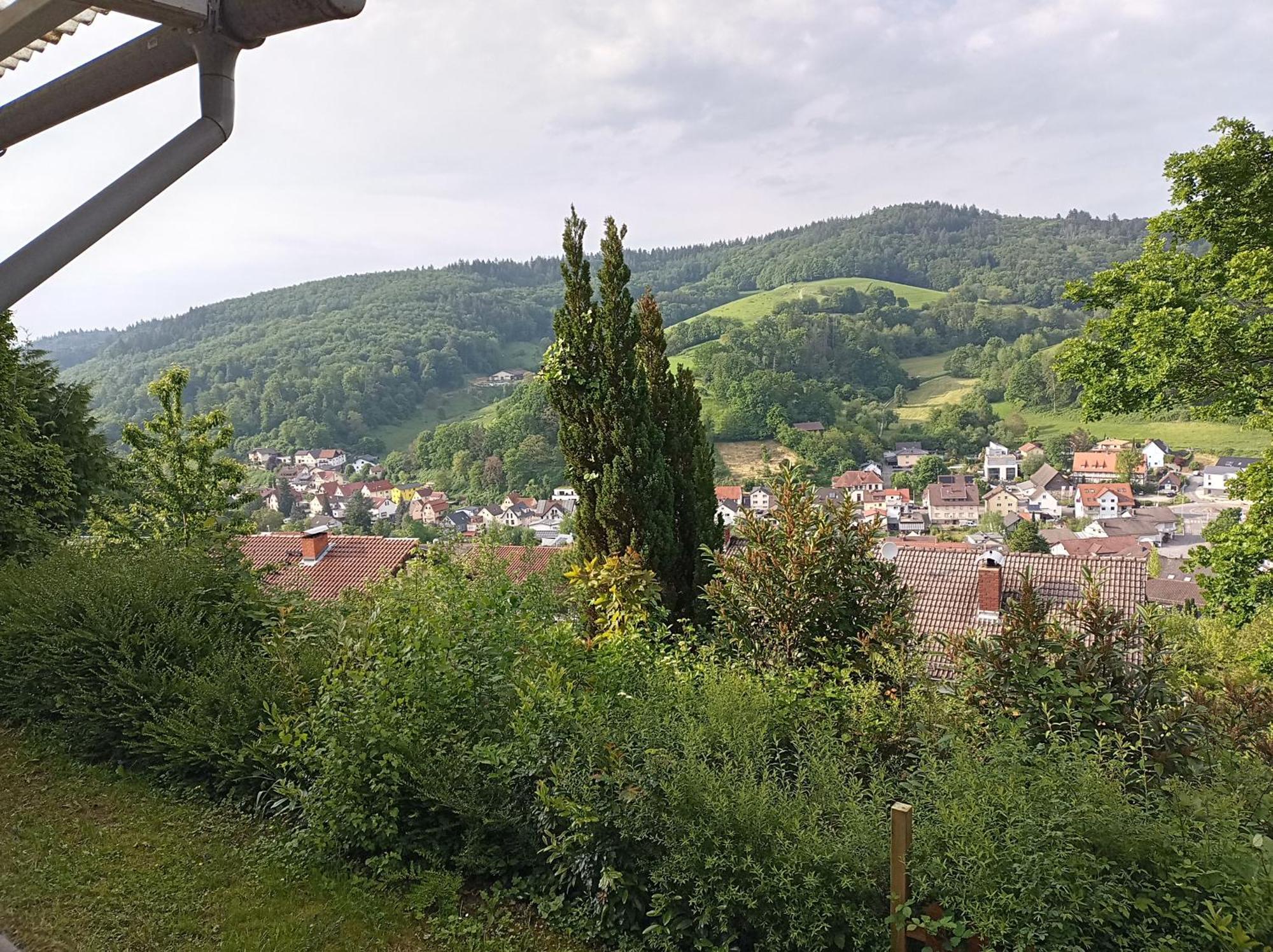 Das Tor Zum Odenwald Gorxheimertal Bagian luar foto