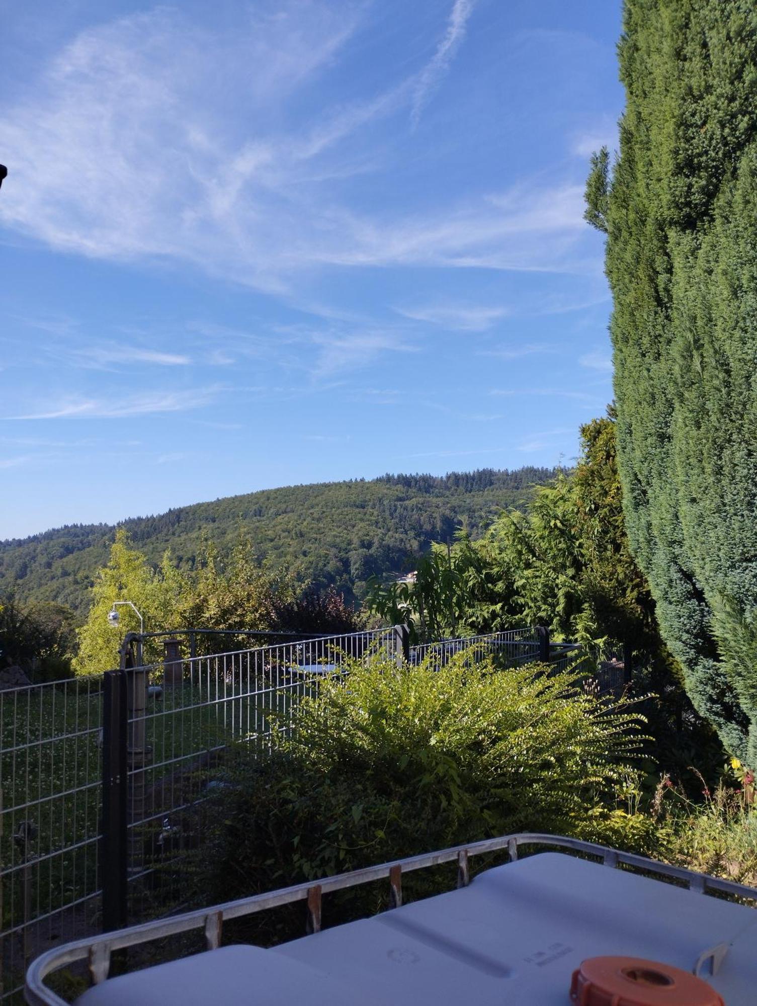 Das Tor Zum Odenwald Gorxheimertal Bagian luar foto